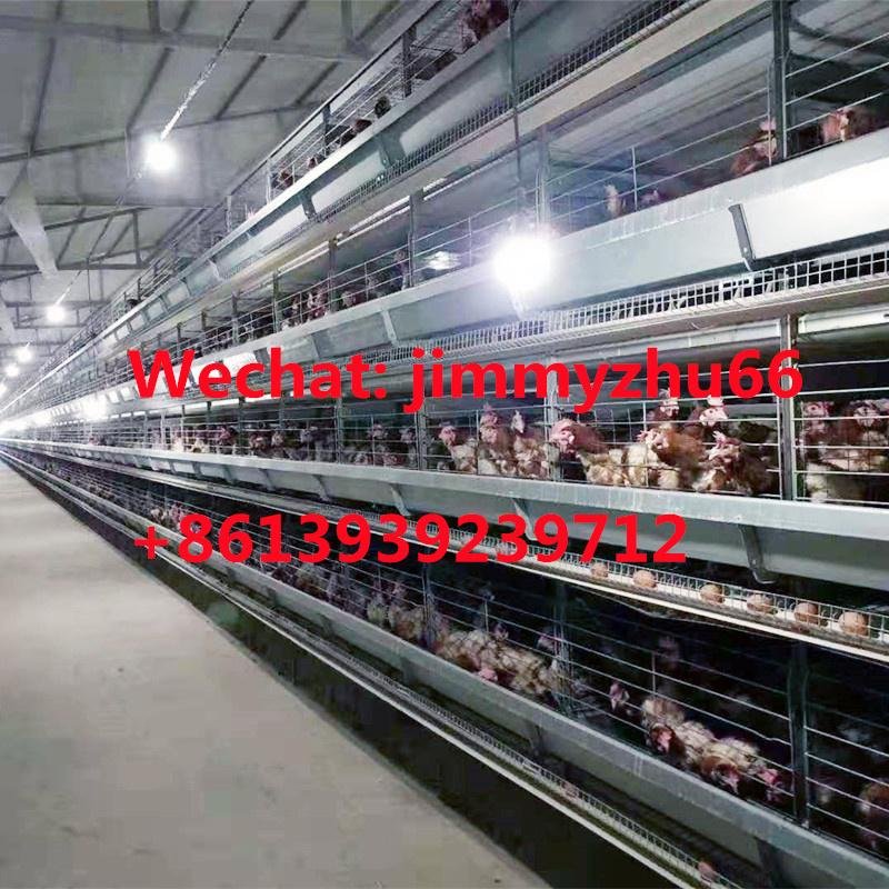 Layer Chicken Cage Factory H Type Full Automatic Battery Chicken Cage