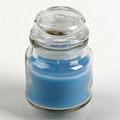 OEM/ODM Professional brand custom small glass jars soybean wax candle 3