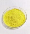 漆黄素98%黄栌提取物 4