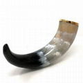 Buffalo Horn Viking 3