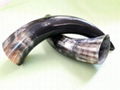 Buffalo Horn Viking 4