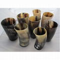 Buffalo Horn Glass 4 Piece Set 2