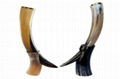 2 Large Drinking Animal Horn with Stand, Natural Viking 1