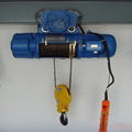 Hot Sale Electric Wire Rope Hoist 3