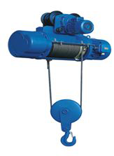 Hot Sale Electric Wire Rope Hoist 5
