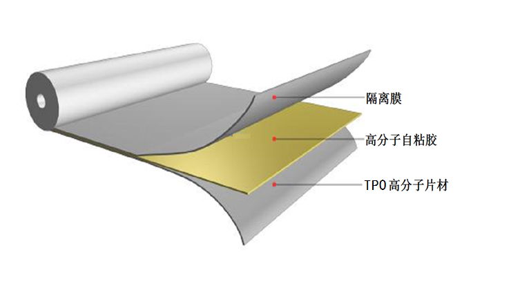 定做3米宽TPO自粘胶膜防水卷材 2