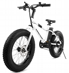 E-Bike 350W Motor, Power Assist, 4” Tires, 20” Wheels, Removable 36V Lithium Ion