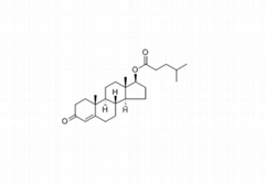 Testosterone Isocaproate china factory 99% purity