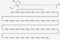 Cagrilintide 5mg* 10vials