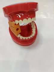 P-01S reusable Dental TPV mouth