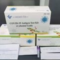 Vancoein professional Colloidal Gold covid-19 rapid antigen test kit 3