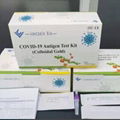 Bfarm Vancoein OEM Colloidal Gold swab covid-19 rapid antigen test kit 3