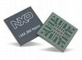  NXP芯片i.MX 8系列 1