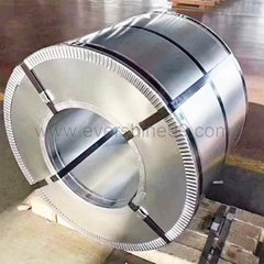 HOT-DIPPED GA  ANIZED STEEL COIL
