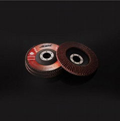 Flap DISC