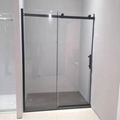 SHOWER DOOR