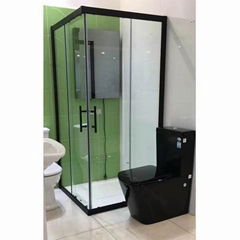 SHOWER DOOR