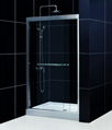 SHOWER DOOR