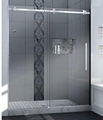 SHOWER DOOR