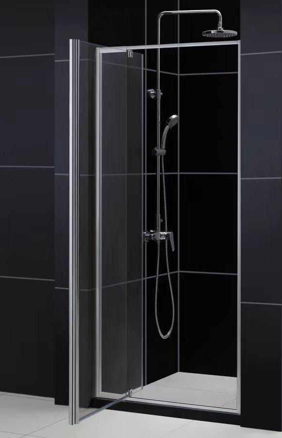 SHOWER DOOR