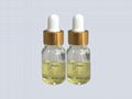 Factory Supply Skin Care Camellia Oil Camellia Seed Oil