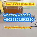 sell high quality Bmk oil CAS 20320-59-6