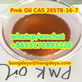 sell high quality Pmk Oil CAS 28578-16-7   