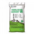 Ammonium Sulphate 1