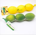 Degradable Agricultural Products Net Bag 1