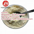 Idebenone, an intelligent stimulant CAS:58186-27-9