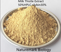 Milk Thistle Extract