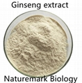 Ginseng Extract