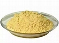 Phosphatidylserine 1