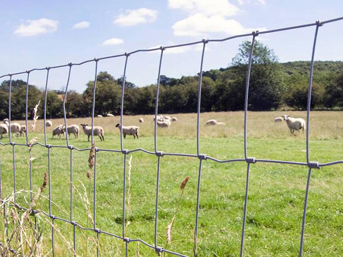 Grassland Fence