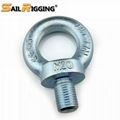 China Supplier High Strength Rigging Hardware Heavy Duty eyebolt