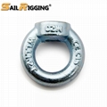 China Supplier High Strength Rigging Hardware Heavy Duty eyebolt 2