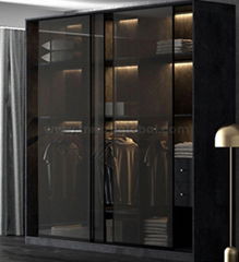 Aluminum Glass Sliding Door Wardrobe