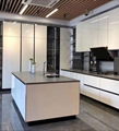 High Gloss Slab Style Kitchen Cabinet