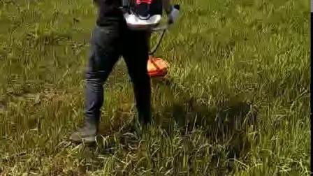 Side Mounted Two Stroke 0.75kw Brushcutter and Grass Trimmer TM-260b 2