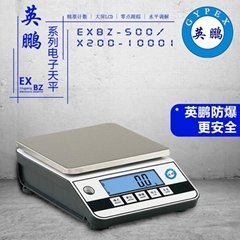 英鵬EXBZ-500/X200-10001防爆電子秤 - LCD屏幕