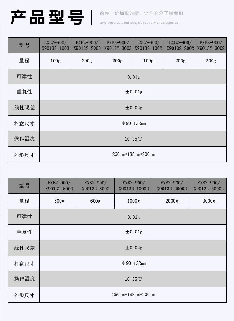 英鹏EXBZ-900/X90132-1003防爆电子天平 - 大容量电瓶 3