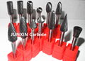 Tungsten Carbide Rotary Burrs 1