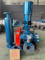 HIGH EFFICIENCY OXYGENATION ROOTS BLOWER 2