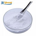 High quality Food Grade Sodium Hyaluronate