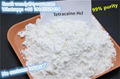 China factory 99% purity no customs issues Tetracaine/tetracaina hcl wholesale 