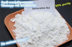 China factory 99% purity no customs issues Tetracaine/tetracaina hcl wholesale