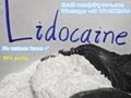 99% purity safe customs clearance high quality Lidocaine/Lidocaina powder  1