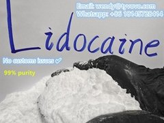 99% purity safe customs clearance high quality Lidocaine/Lidocaina powder