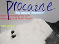 99% purity Procaine/Procaina no customs issues China factory wholesale   1