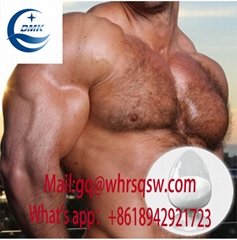 Safe Shipping 99% Purity Sarm YK11 steroid for bodybuilding dosage effect and be